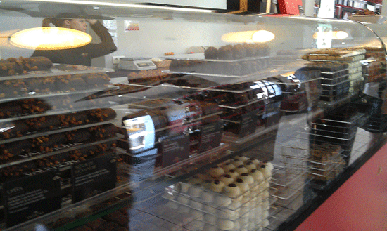 Catarina2 artikel 160616 13