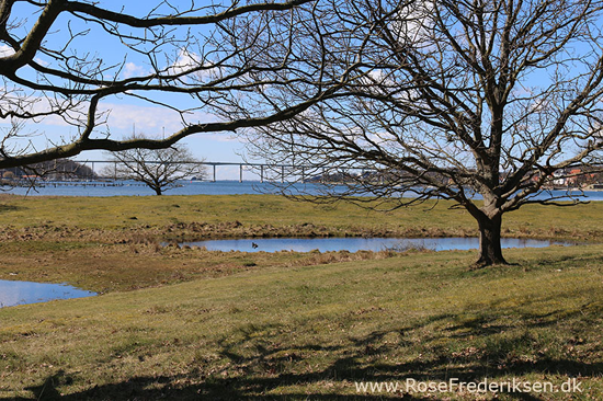 Forrsmatrikel helle 010616 05