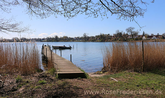 Forrsmatrikel helle 010616 09