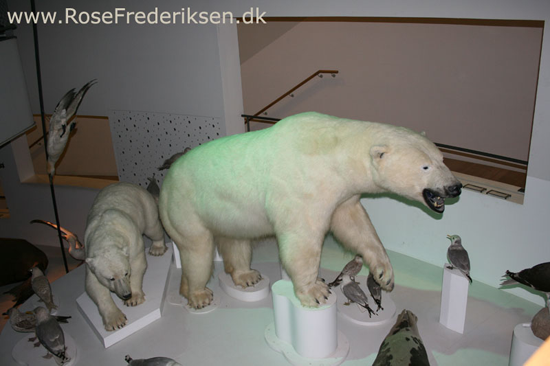 Forrsmatrikel helle 010616 23