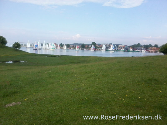 Forrsmatrikel helle 010616 24