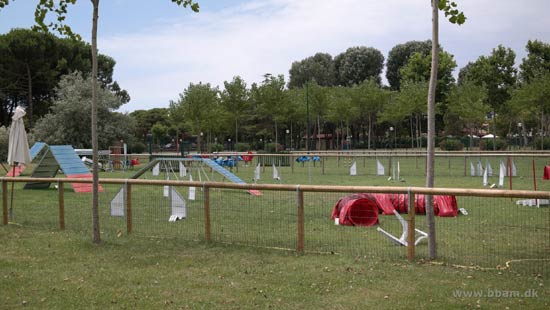 Uniolido bryan artikel 140716 14
