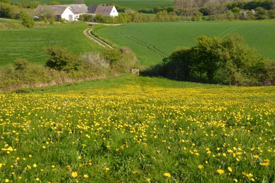 Udsigt til Barsø B&B