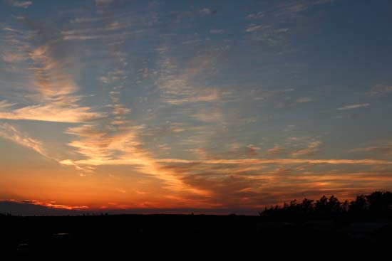 Vi har tabt vores hjerter til naturen omkring Gl. Klitgaard