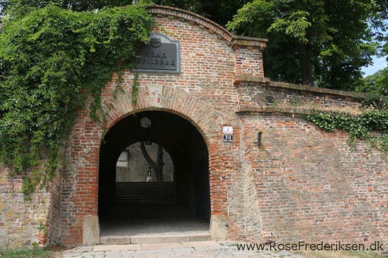 Rosefrederik brno sommerferie2016 260816 48