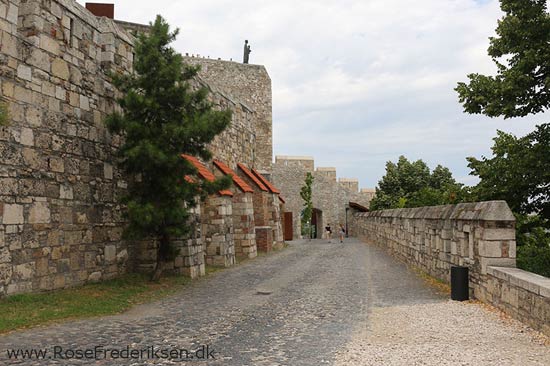 Rosefrederik budapest sommerferie2016 300816 57