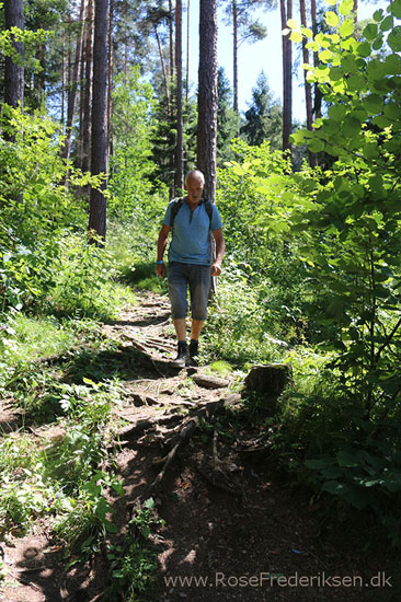 Rosefrederik podlesok sommerferie2016 070916 31