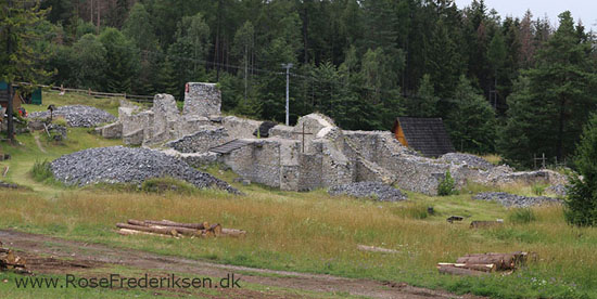 Rosefrederik podlesok sommerferie2016 070916 62