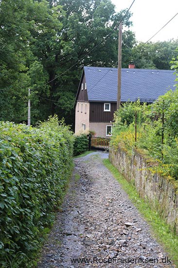 Rosefrederik sommerferie2016 220816 09