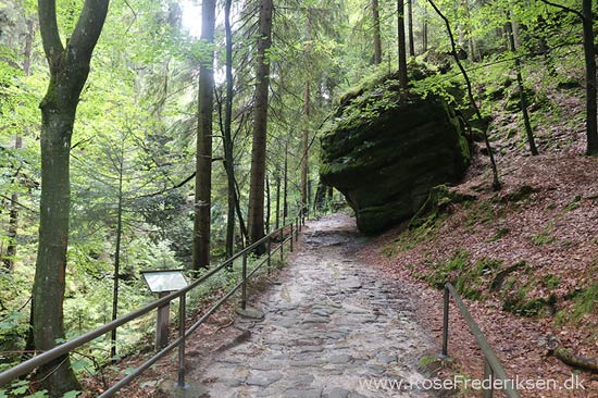 Rosefrederik sommerferie2016 220816 11