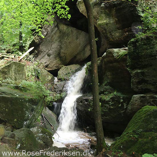 Rosefrederik sommerferie2016 220816 12