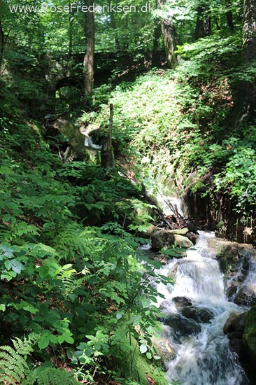 Rosefrederik sommerferie2016 220816 12a