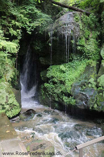 Rosefrederik sommerferie2016 220816 13