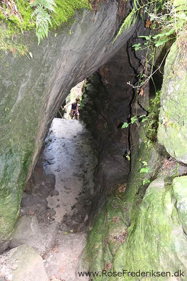 Rosefrederik sommerferie2016 220816 15