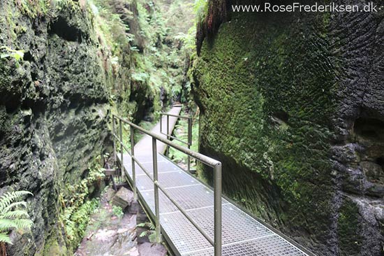 Rosefrederik sommerferie2016 220816 16