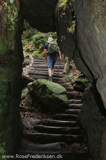 Rosefrederik sommerferie2016 220816 17