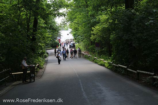 Rosefrederik sommerferie2016 220816 18