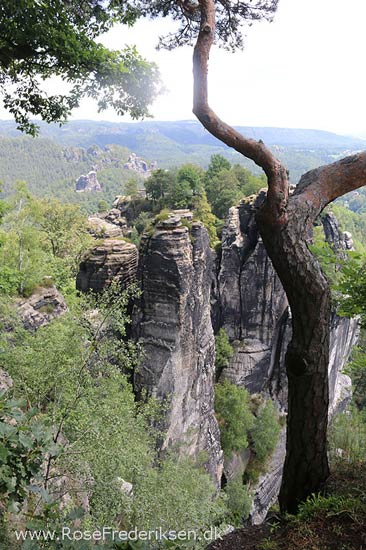 Rosefrederik sommerferie2016 220816 22