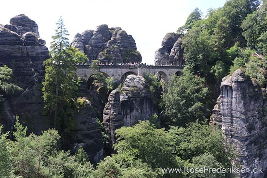 Rosefrederik sommerferie2016 220816 25