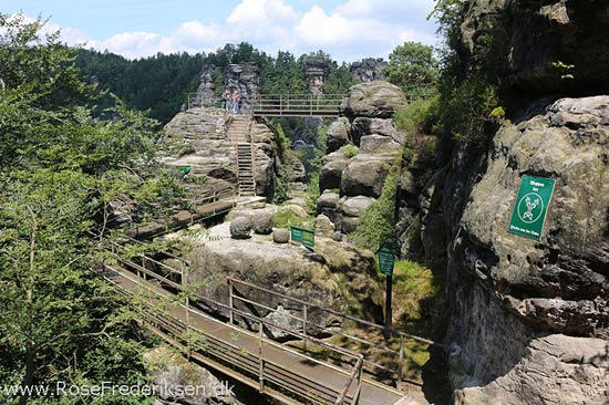 Rosefrederik sommerferie2016 220816 26