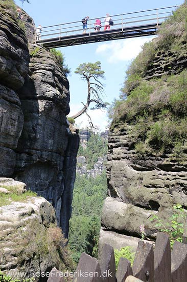 Rosefrederik sommerferie2016 220816 30