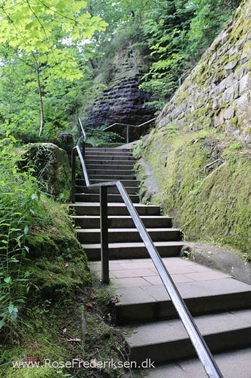 Rosefrederik sommerferie2016 220816 32