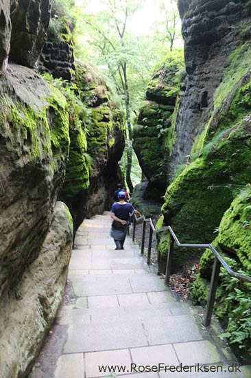 Rosefrederik sommerferie2016 220816 33