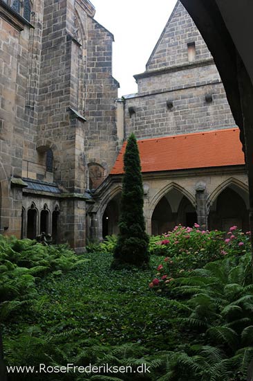 Rosefrederik sommerferie2016 220816 60