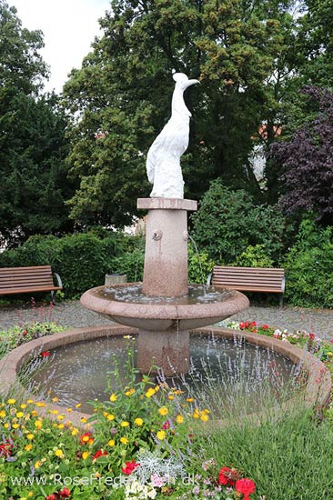 Rosefrederik sommerferie2016 220816 75