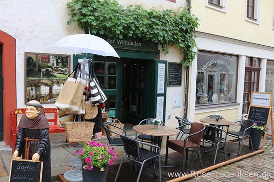 Rosefrederik sommerferie2016 220816 78