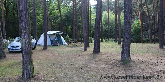 Rosefrederiksen postdam sommerferie2016 270916 08