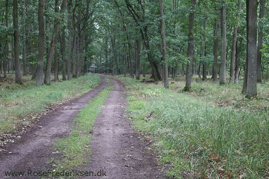 Rosefrederiksen postdam sommerferie2016 270916 14