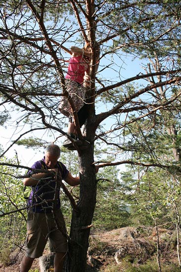 Geocaching Helle artikel 211116 03