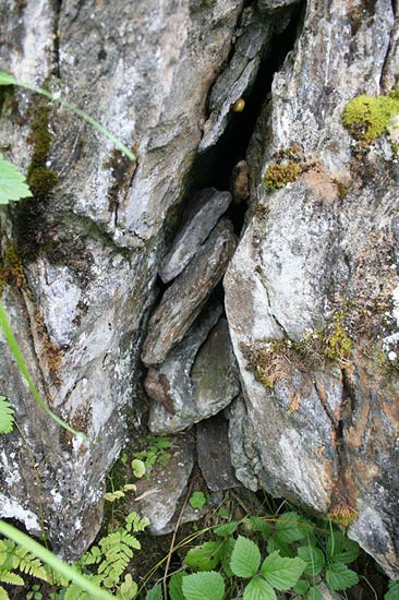 Geocaching Helle artikel 211116 04