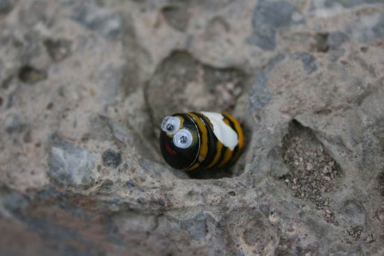 Geocaching Helle artikel 211116 06