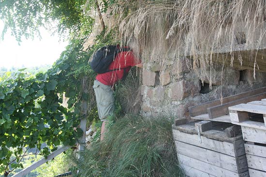 Geocaching Helle artikel 211116 16