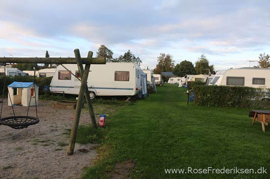 Stevns2016 helle artikel 241116 03