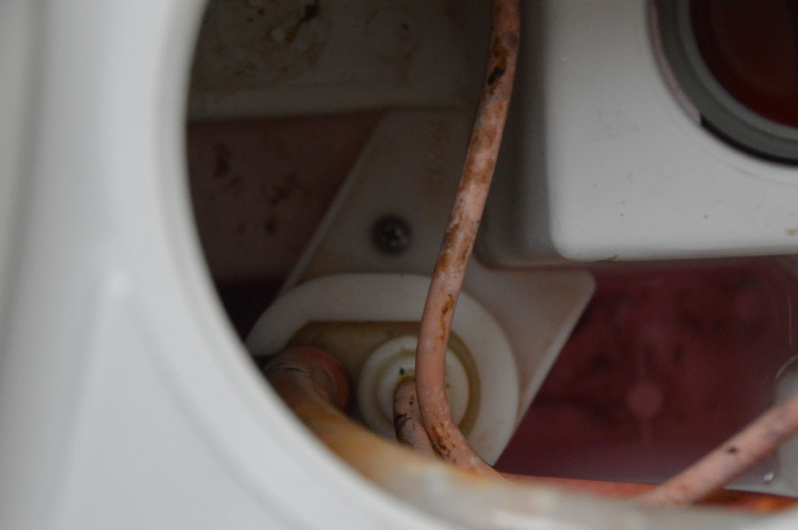 Reptoiletskyl artikel 070617 07