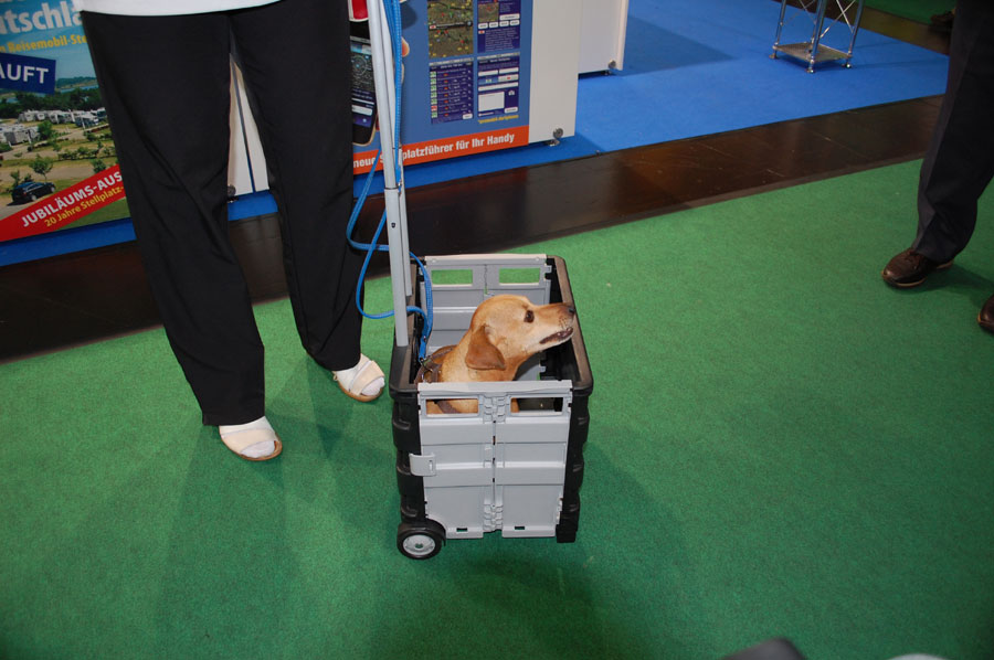 Nrmanikkekan artikel 191017 29