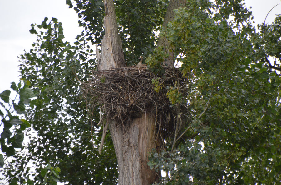 Sommerferie tyskland 140917 09