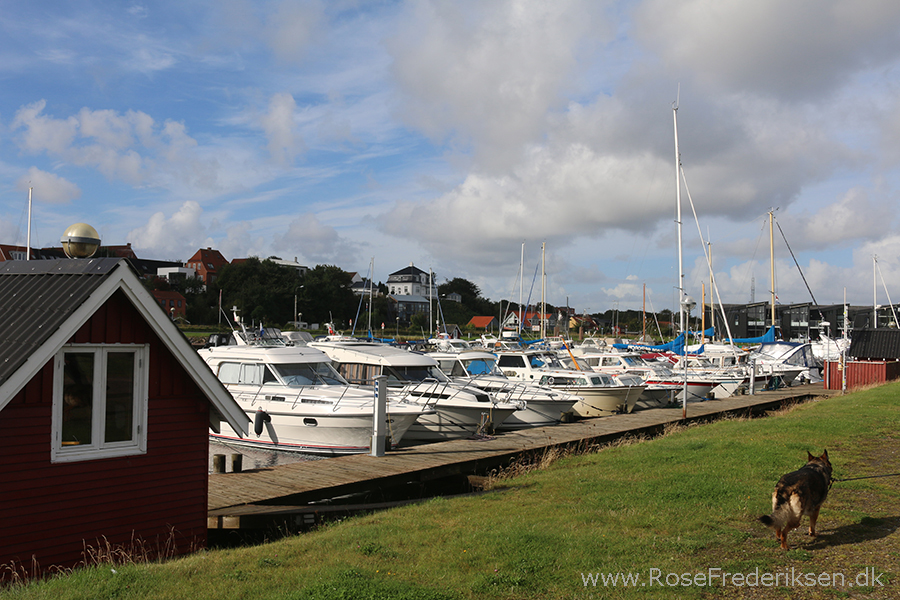 Bremdalcamping artikel 011117 12