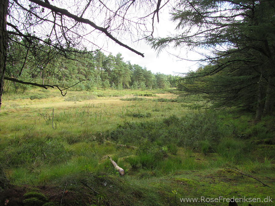 Bremdalcamping artikel 011117 41