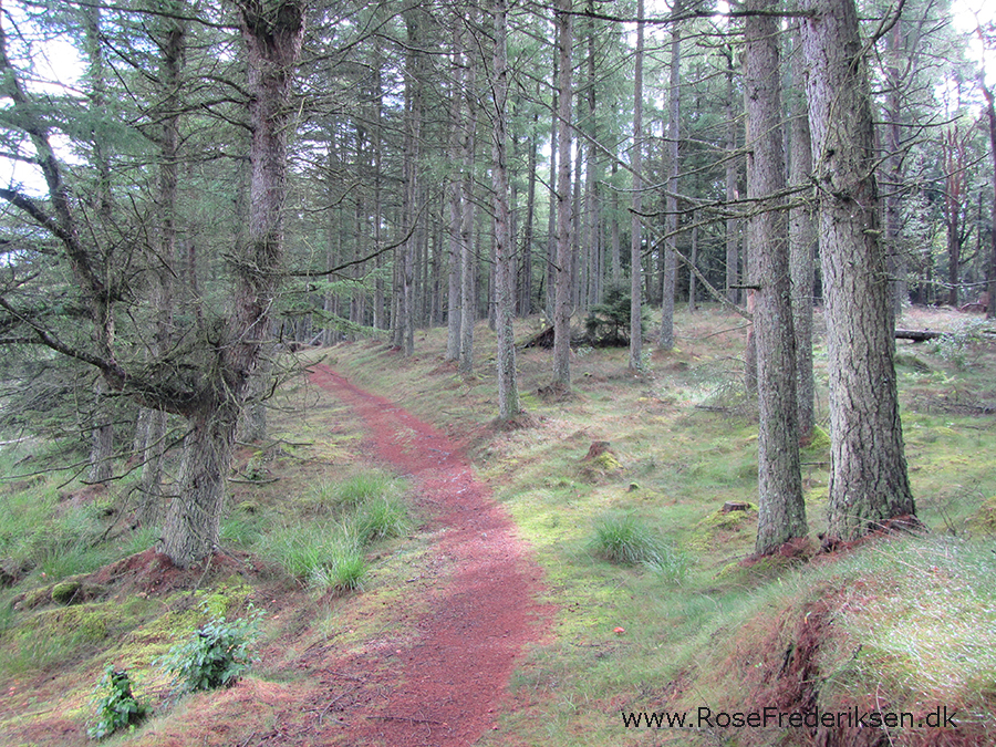 Bremdalcamping artikel 011117 42