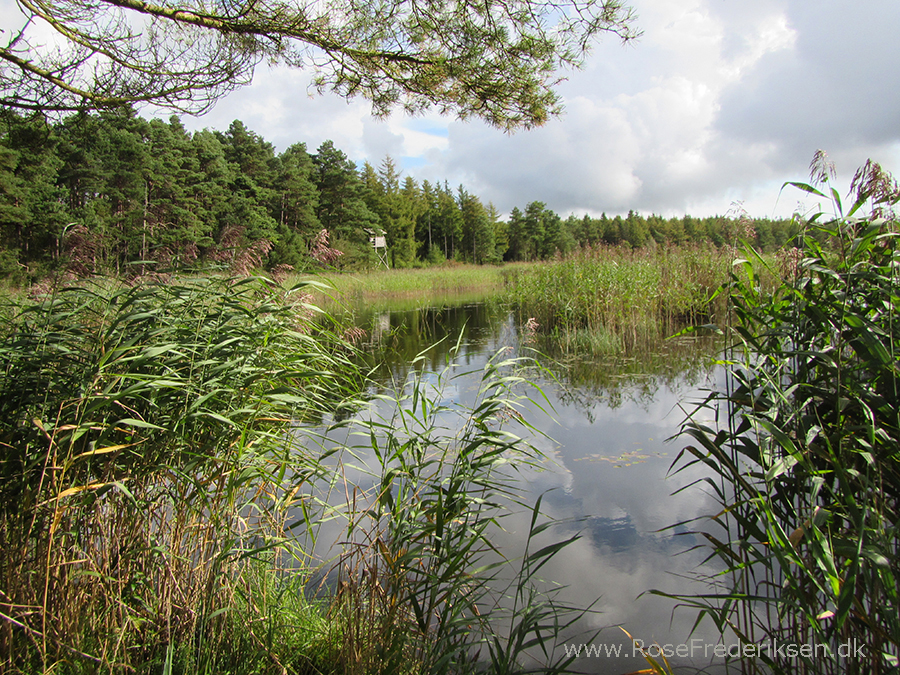 Bremdalcamping artikel 011117 43