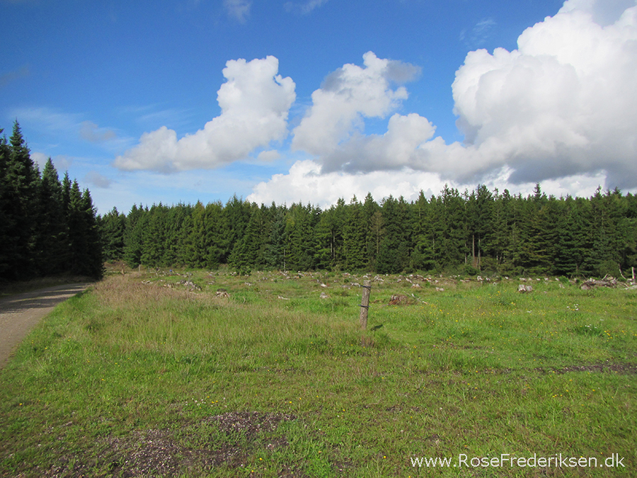 Bremdalcamping artikel 011117 45