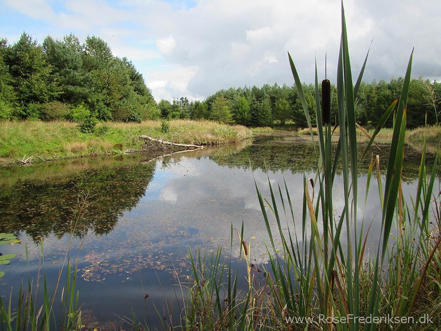 Bremdalcamping artikel 011117 46