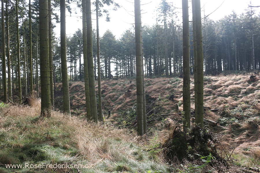 Bremdalcamping artikel 011117 47