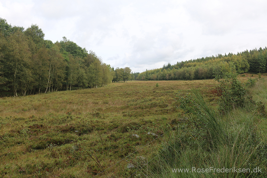 Bremdalcamping artikel 011117 48