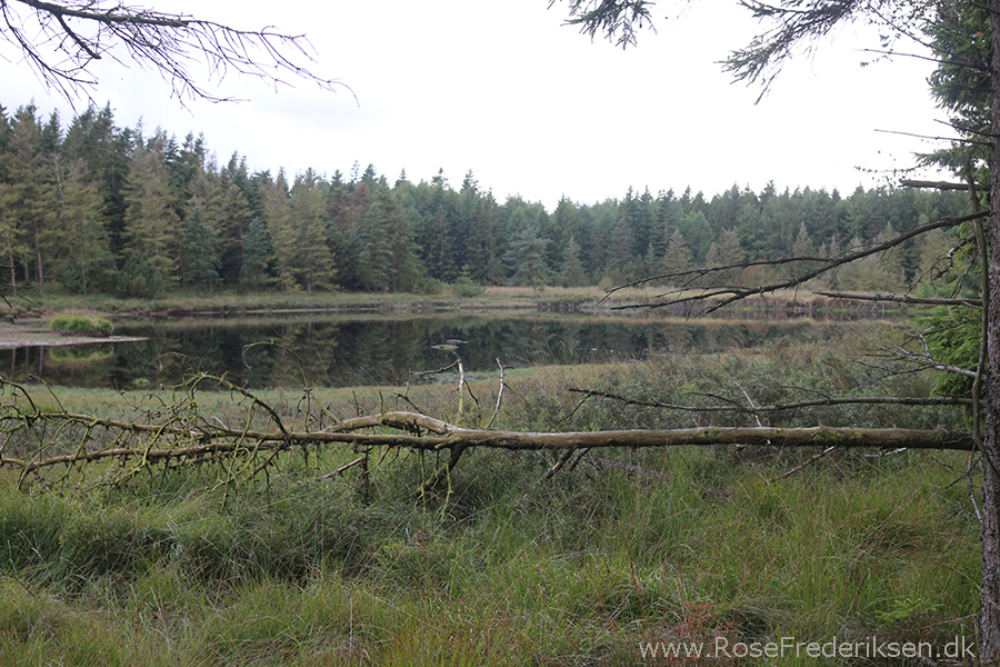 Bremdalcamping artikel 011117 49