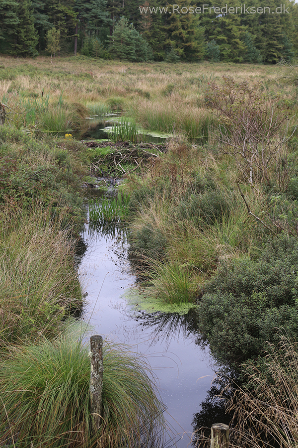 Bremdalcamping artikel 011117 51